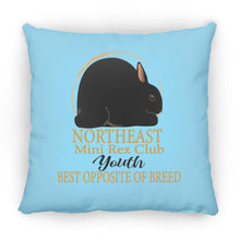 Northeast Mini Rex Club Youth BOSB Large Square Pillow