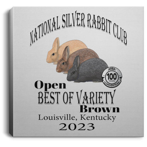 NSRC Open BOV Brown Square Canvas .75in Frame