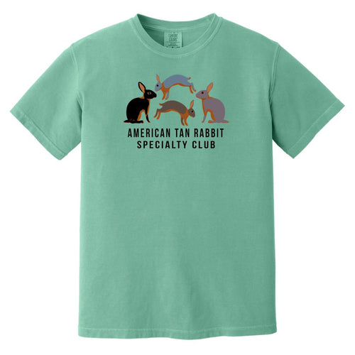 Colors Adult Garment-Dyed T-Shirt