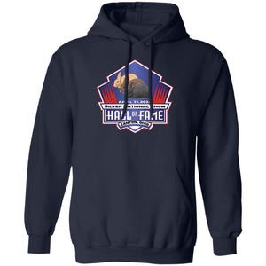 National Silvers 2024 Pullover Hoodie