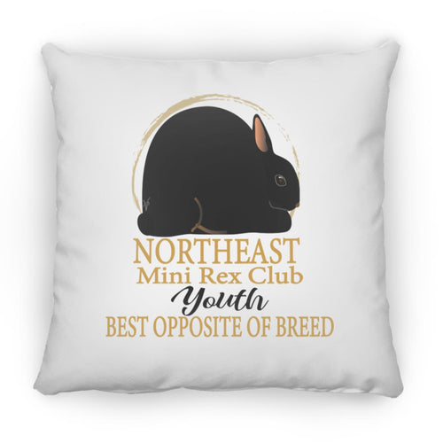 Northeast Mini Rex Club Youth BOSB Large Square Pillow