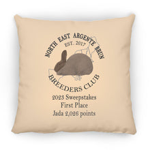 Jada First Place Large Square Pillow