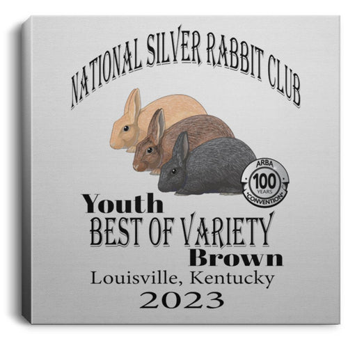 NSRC Youth BOV Brown  Square Canvas .75in Frame