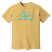 Unity Stables Teal print Adult Garment-Dyed T-Shirt