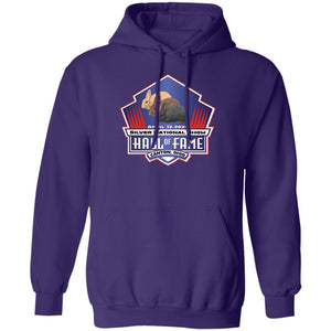 National Silvers 2024 Pullover Hoodie