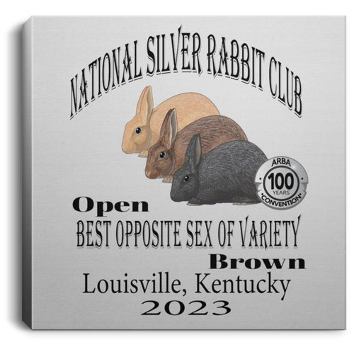 NSRC Open BOSV Brown Square Canvas .75in Frame