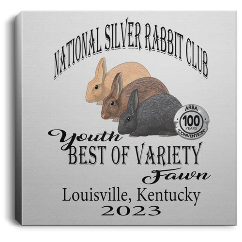 NSRC Youth BOV Fawn Square Canvas .75in Frame