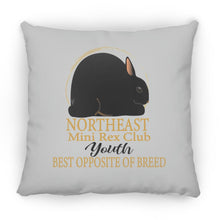 Northeast Mini Rex Club Youth BOSB Large Square Pillow