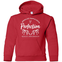 Perfection Youth Pullover Hoodie