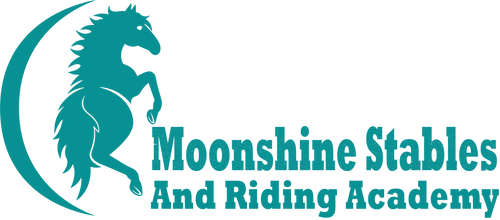 Moonshine Stables Full Back Embroidered Logo